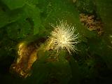 2008-08-09 09-38-14 H